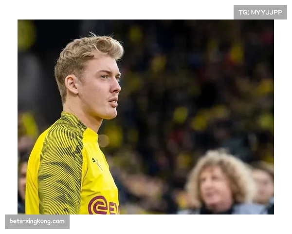 克雷莫纳前锋范德普特四次助攻展现创造力